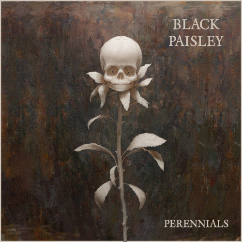 Black Paisley : Perennials